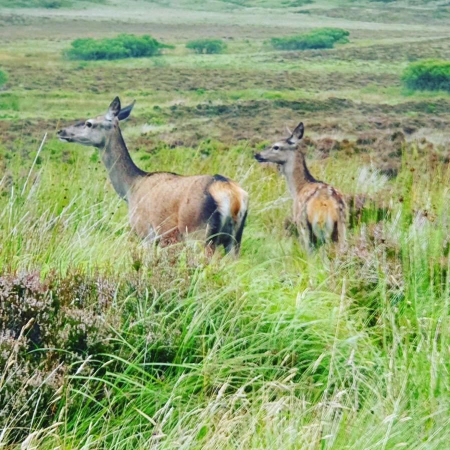 KinlochDeer Green Place别墅 外观 照片